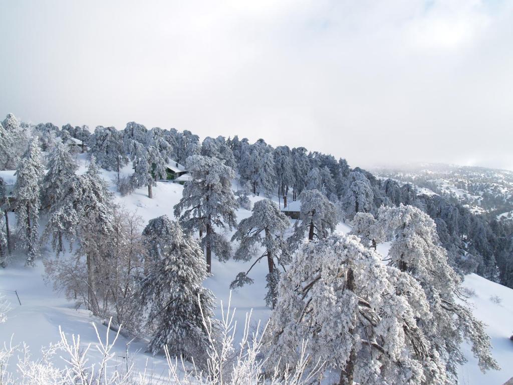 Troodos Hotel & Spa Экстерьер фото